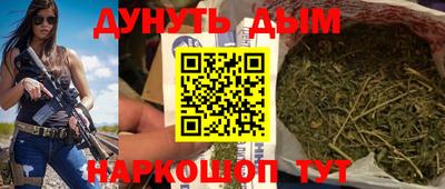 крисы Кулебаки