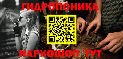 крисы Кулебаки