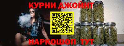 крисы Кулебаки