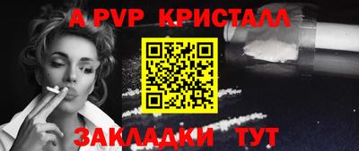 крисы Кулебаки