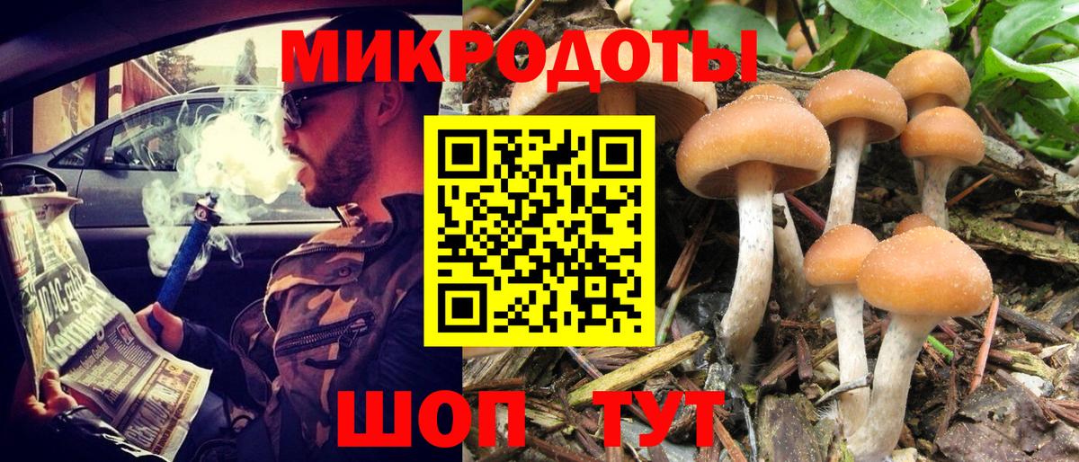 Галлюциногенные грибы ЛСД  Псилоцибиновые грибы ЛСД  Вход с VPN  Иваново 